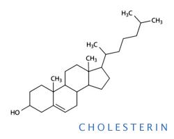 Cholesterin