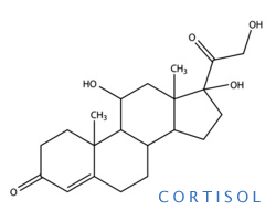Cortisol