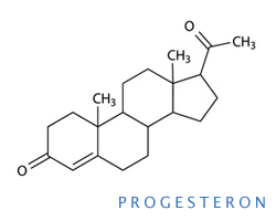 Progesteron